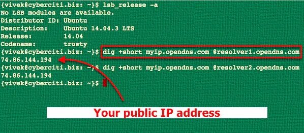 dig-ip-address-output.webp